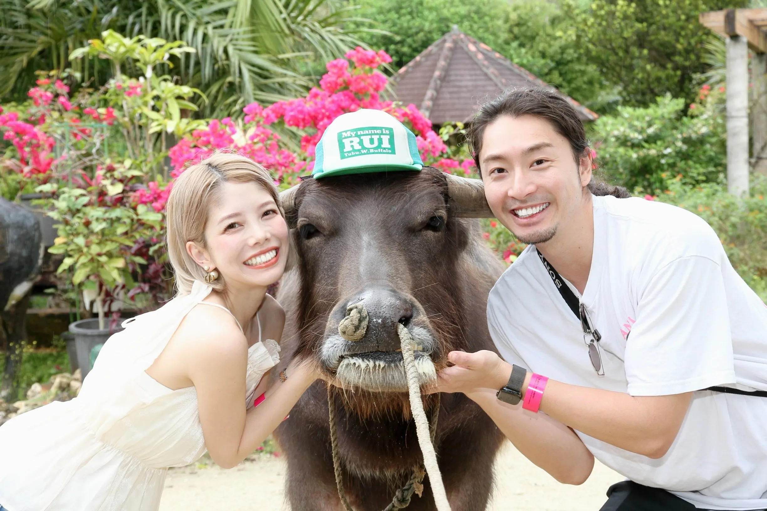 りゅうきとあかね